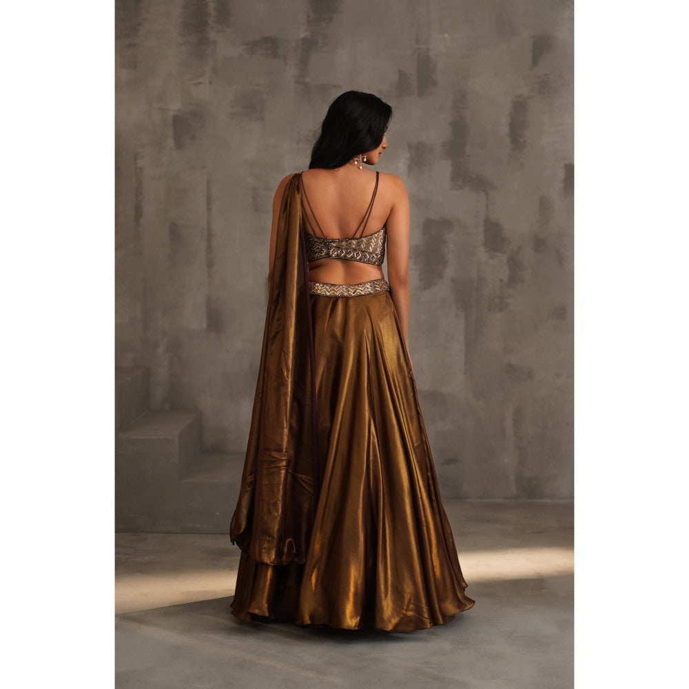 Deepika Chadha Brown Embroidered Drape Attached Blouse and Lehenga (Set of 2)