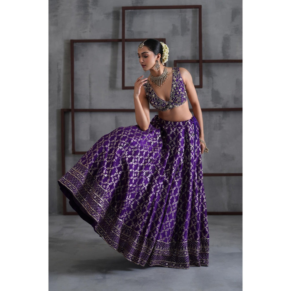 Deepika Chadha Purple Embroidered Blouse with Lehenga and Dupatta (Set of 3)