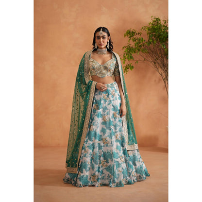 Deepika Chadha Green Mirror Embroidery Blouse, Printed Lehenga, Dupatta (Set of 3)