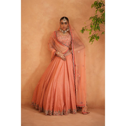 Deepika Chadha Coral Embroidery Blouse with Lehenga and Dupatta (Set of 3)