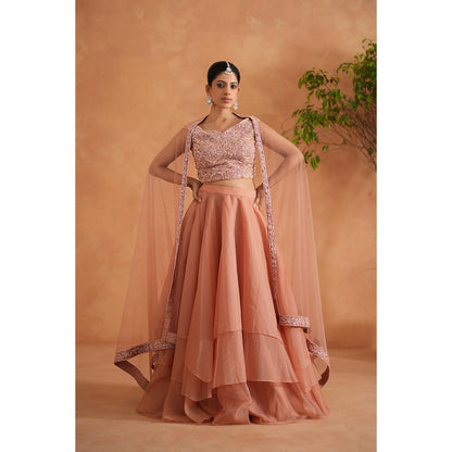 Deepika Chadha Peach Embroidered Blouse with Lehenga and Dupatta (Set of 3)
