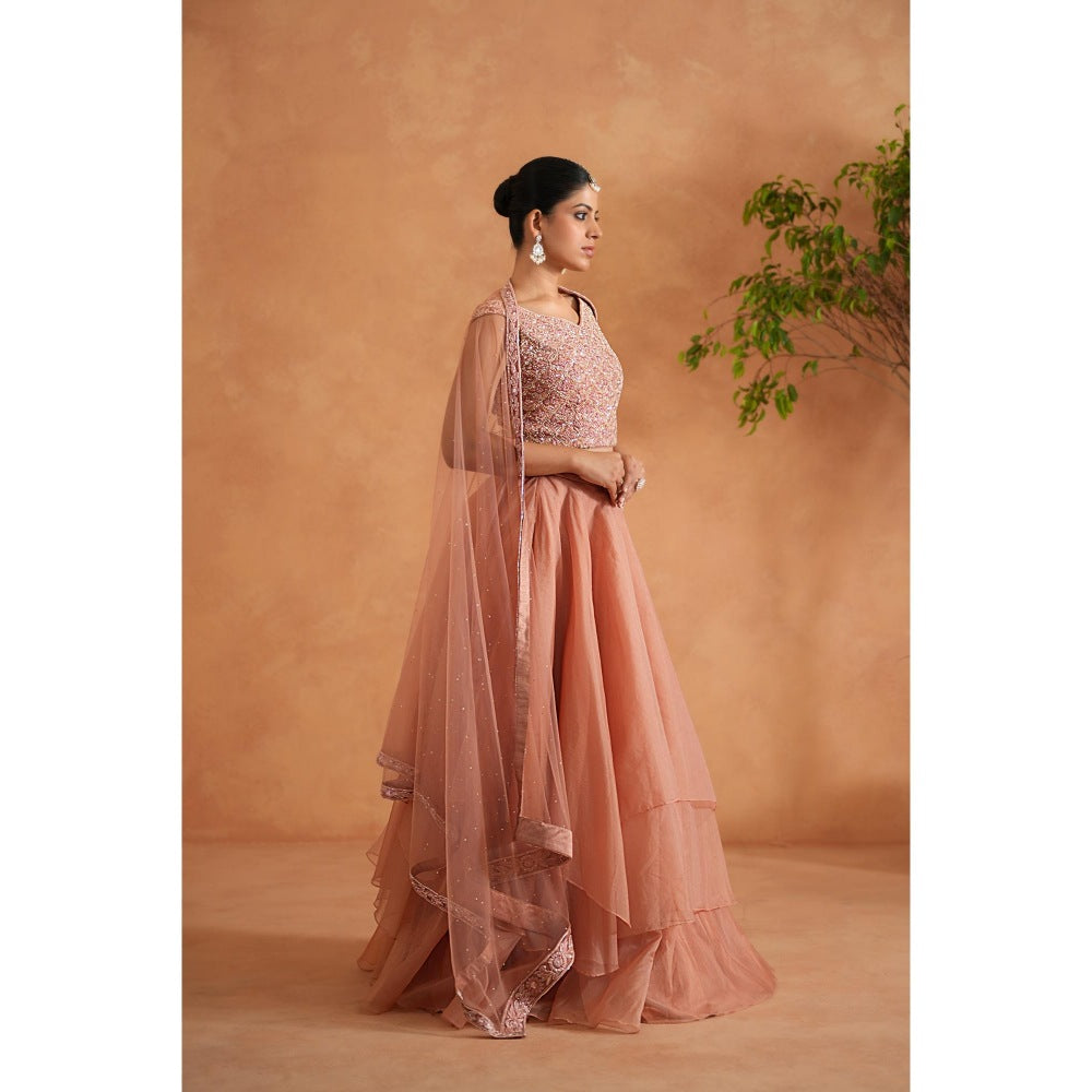 Deepika Chadha Peach Embroidered Blouse with Lehenga and Dupatta (Set of 3)