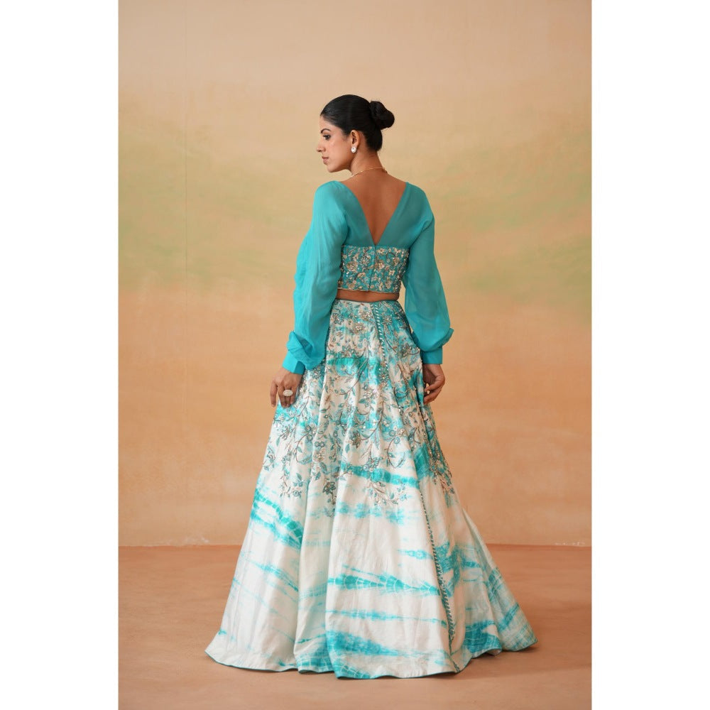 Deepika Chadha Sky Blue Embroidered Blouse with Lehenga and Dupatta (Set of 3)