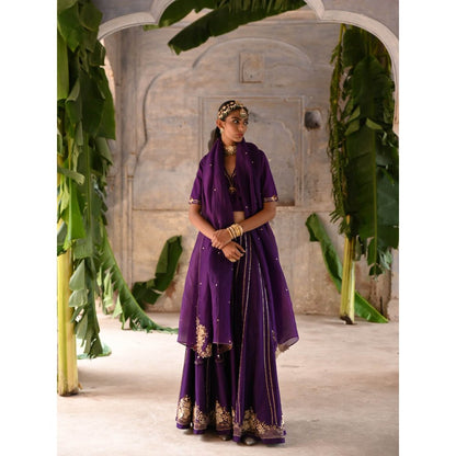 DEEPTHEE Aubergine Lehenga (Set of 3)
