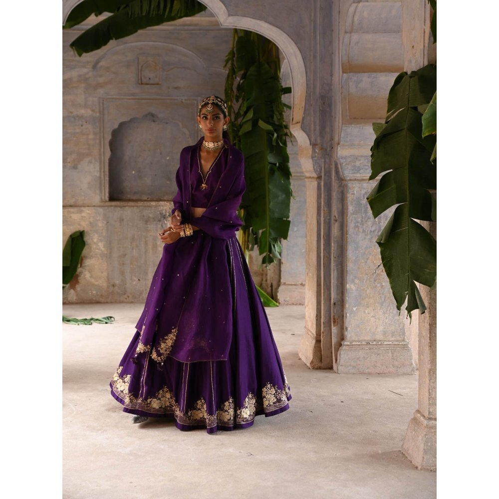 DEEPTHEE Aubergine Lehenga (Set of 3)