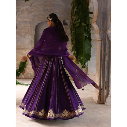 DEEPTHEE Aubergine Lehenga (Set of 3)