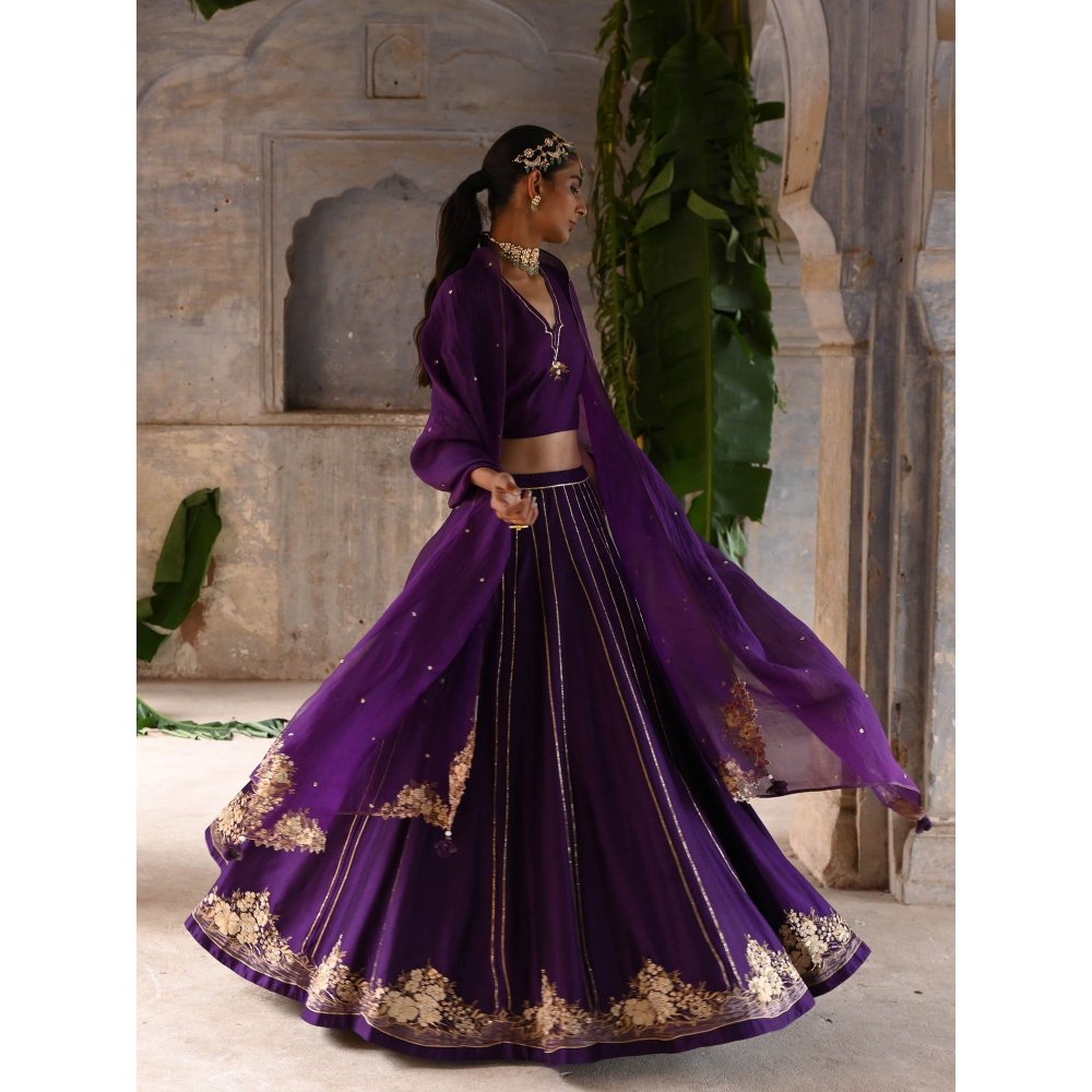 DEEPTHEE Aubergine Lehenga (Set of 3)