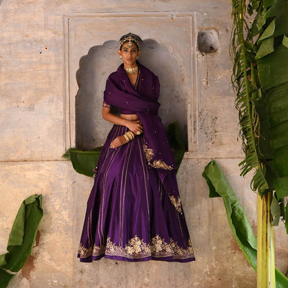 DEEPTHEE Aubergine Lehenga (Set of 3)