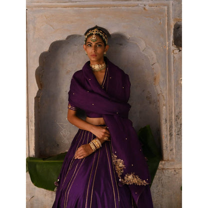 DEEPTHEE Aubergine Lehenga (Set of 3)
