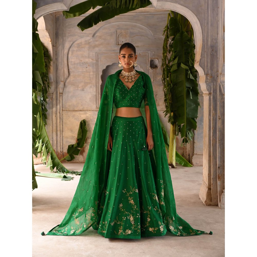 DEEPTHEE Green Hand Embroidered Lehenga (Set of 3)
