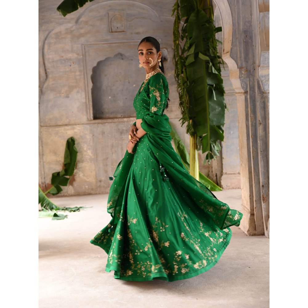 DEEPTHEE Green Hand Embroidered Lehenga (Set of 3)
