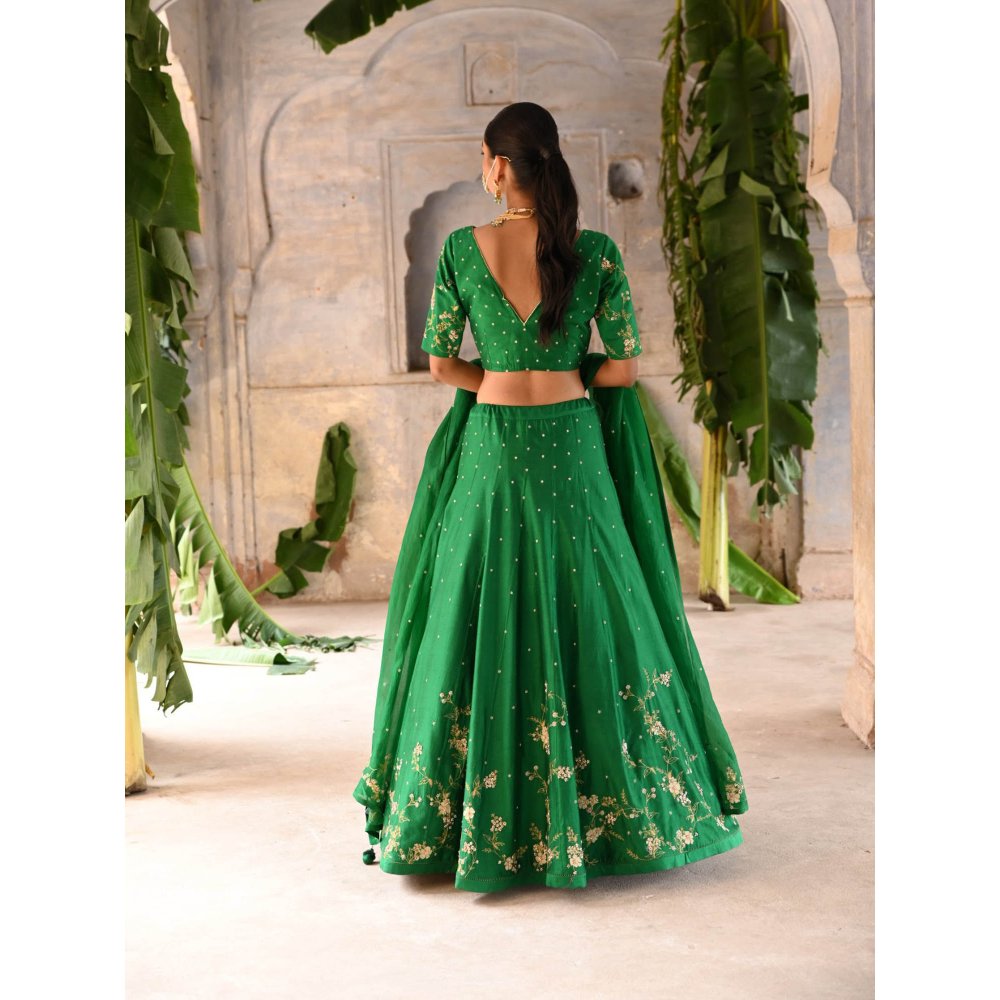 DEEPTHEE Green Hand Embroidered Lehenga (Set of 3)