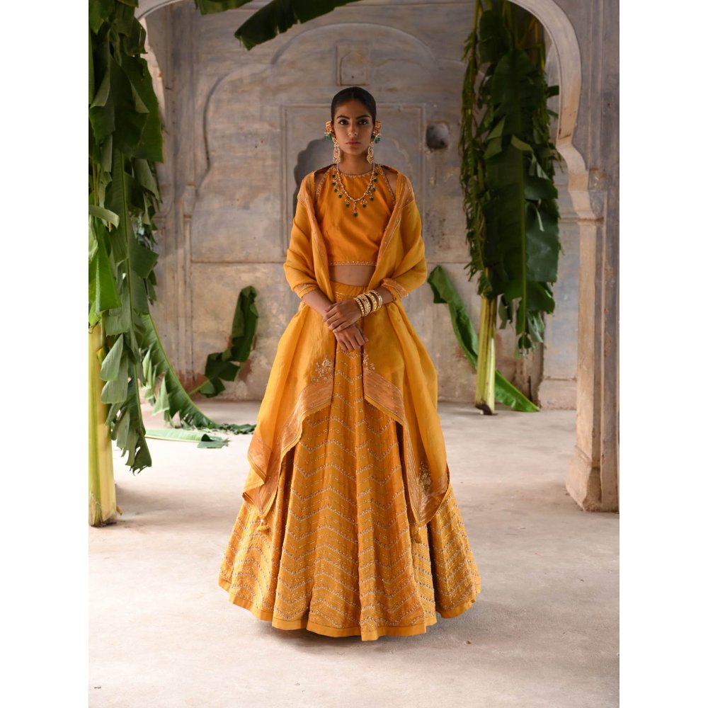DEEPTHEE Mustard Yellow Hand Embroidered Lehenga (Set of 3)