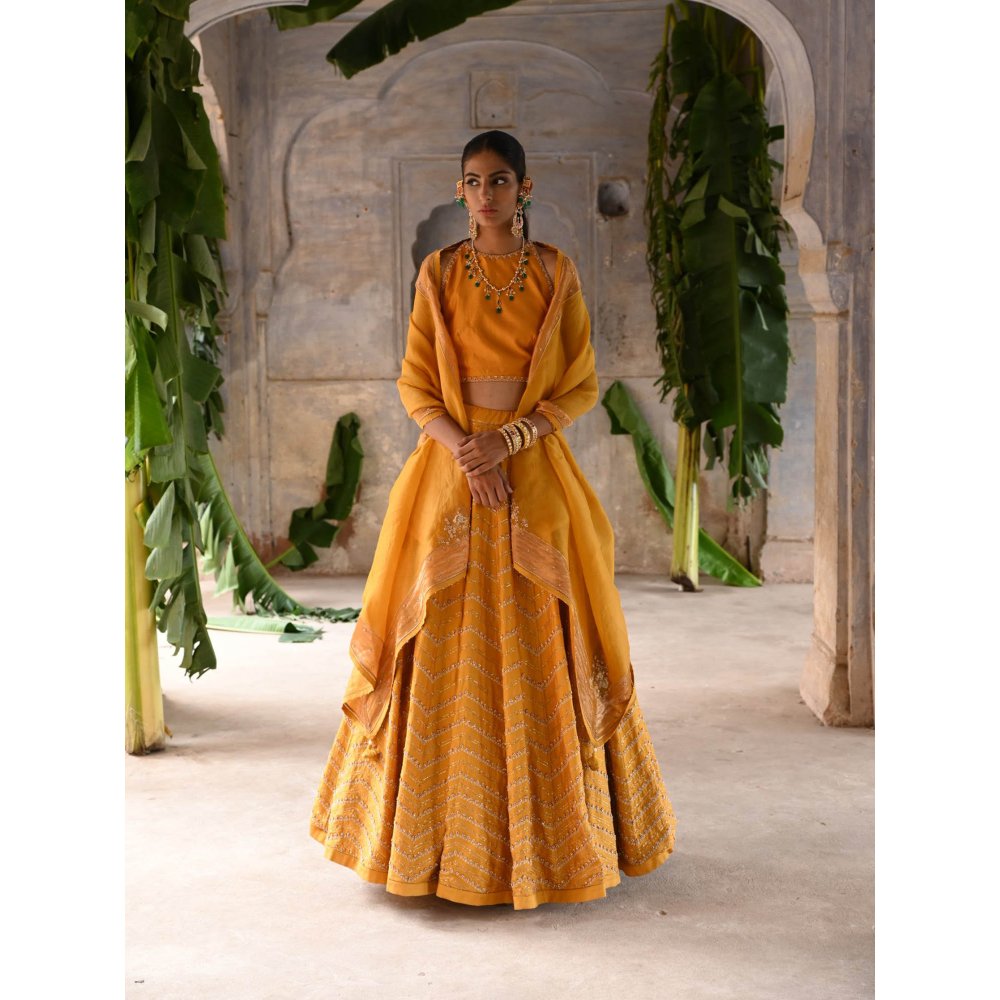 DEEPTHEE Mustard Yellow Hand Embroidered Lehenga (Set of 3)
