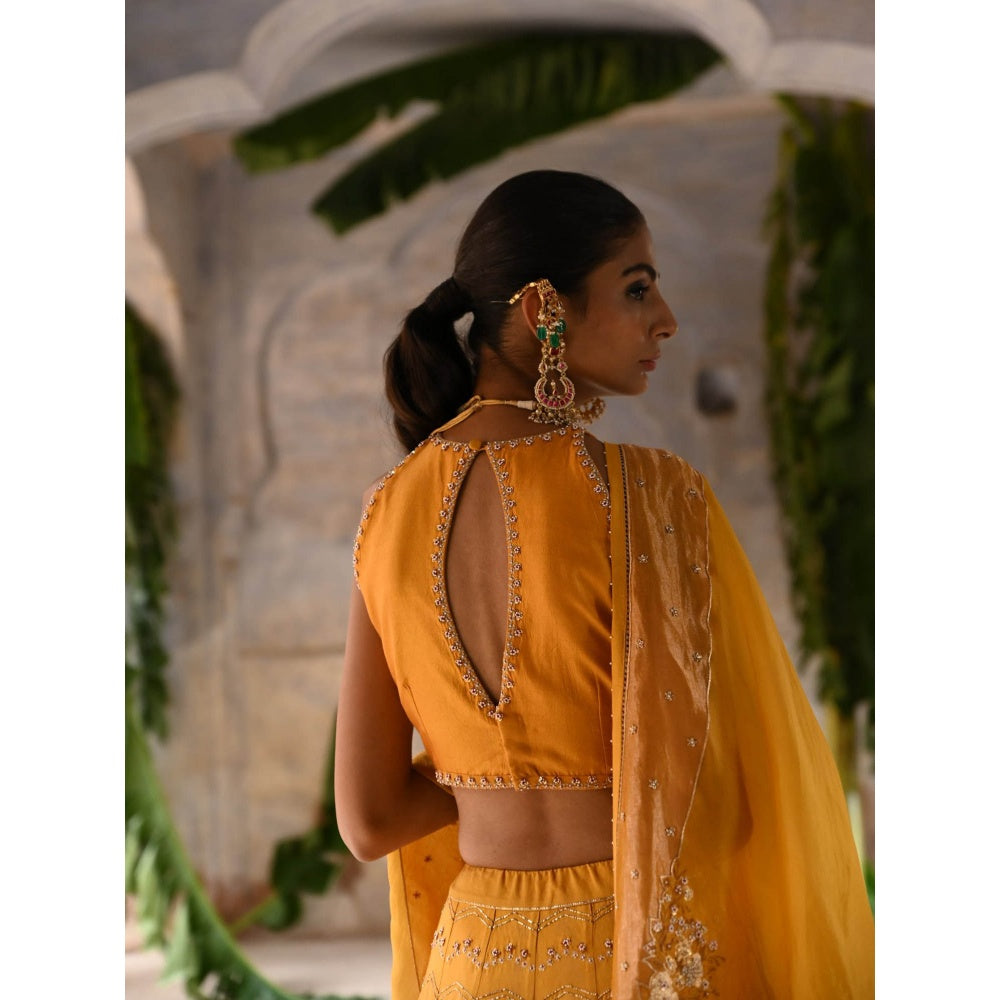 DEEPTHEE Mustard Yellow Hand Embroidered Lehenga (Set of 3)