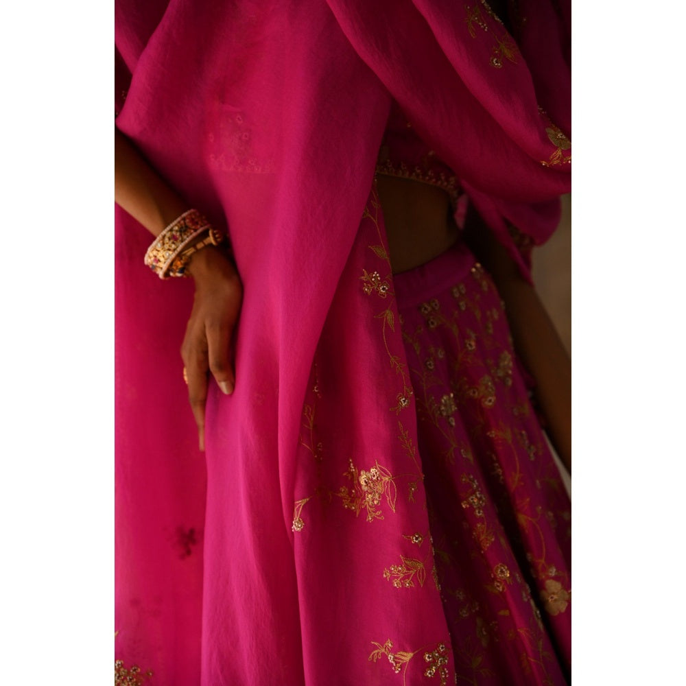 DEEPTHEE Fuchsia Pink Hand Embroidered Lehenga (Set of 3)