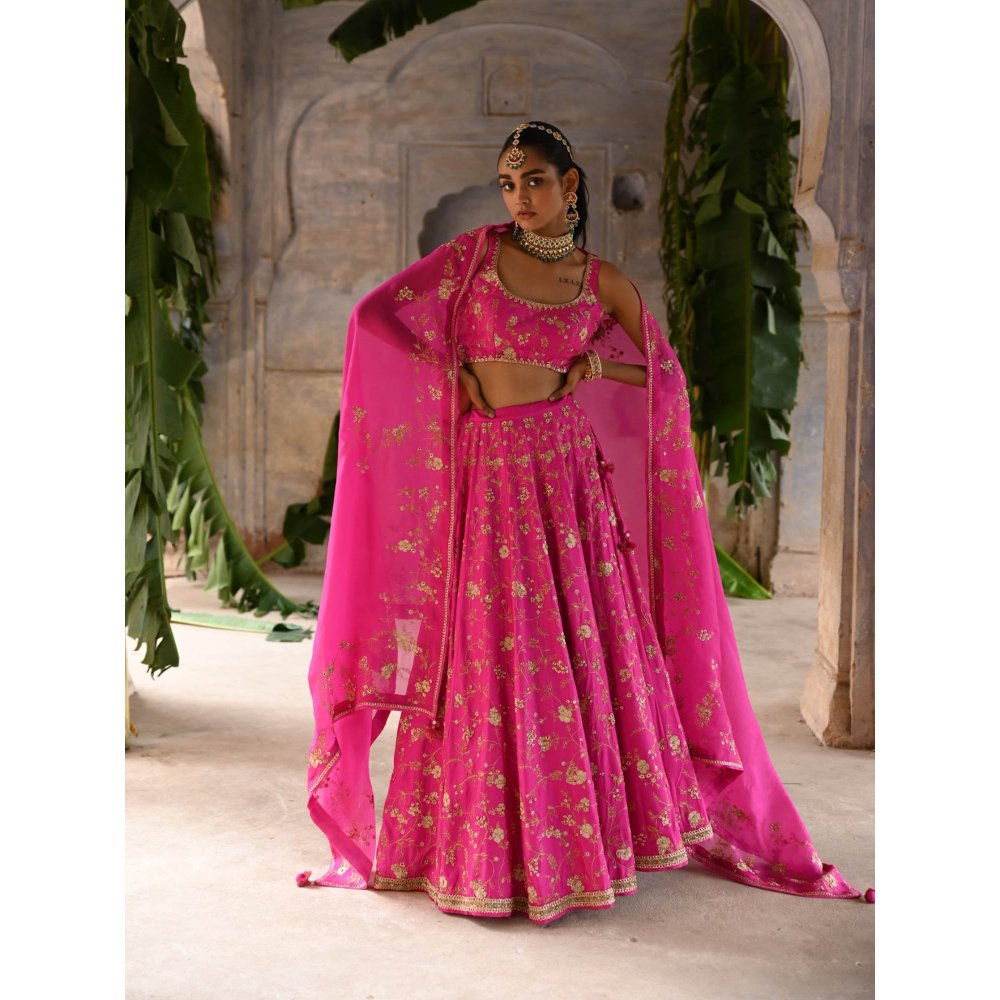 DEEPTHEE Fuchsia Pink Hand Embroidered Lehenga (Set of 3)