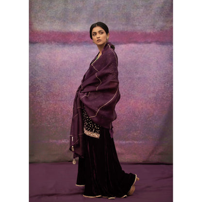 DEEPTHEE Burgundy Hand Embroidered Short Kurta with Sharara & Dupatta (Set of 3)