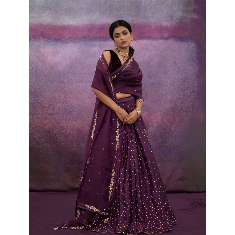 DEEPTHEE Purple All Over Booti Kalli Lehenga Set (Set of 3)