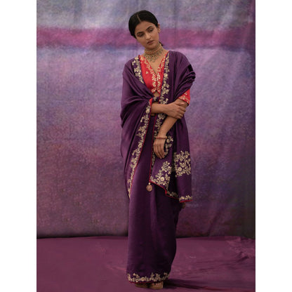 DEEPTHEE Purple Jaal Hand Embroidered Saree with Red Blouse