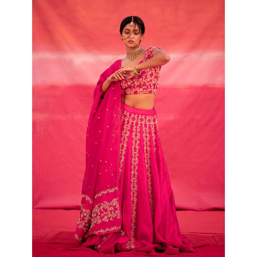 DEEPTHEE Pink Hand Embroidered Kalli Lehenga with Blouse & Dupatta (Set of 3)