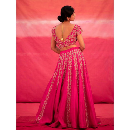 DEEPTHEE Pink Hand Embroidered Kalli Lehenga with Blouse & Dupatta (Set of 3)