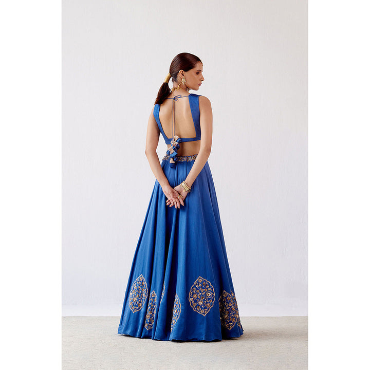 Devnaagri Blue Dori Embroidered Cotton Silk Lehenga (Set of 3)