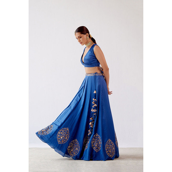 Devnaagri Blue Dori Embroidered Cotton Silk Lehenga (Set of 3)