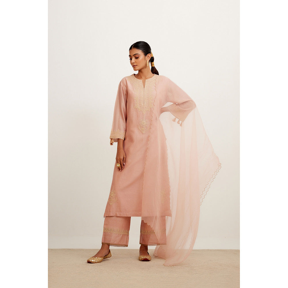 Devnaagri Rose Pink Dori Embroidered Kurta & Palazzo (Set of 3)