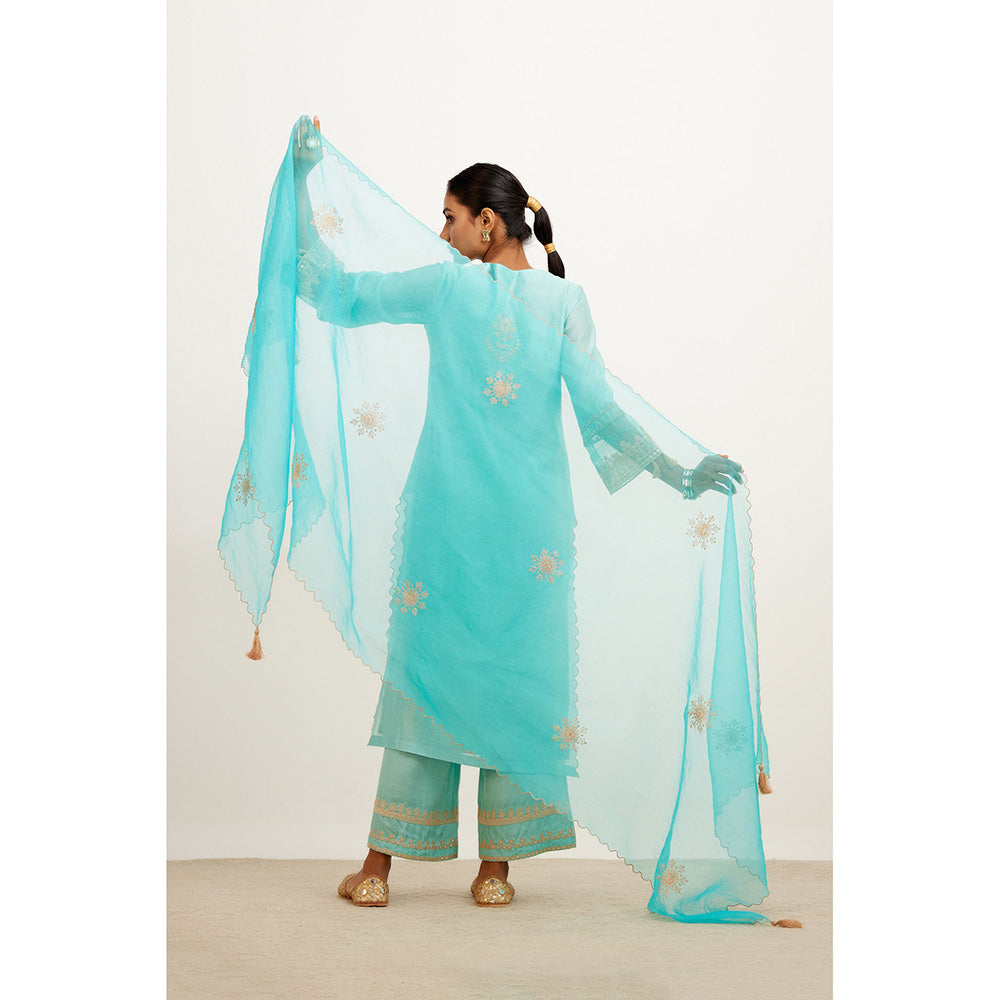 Devnaagri Turquoise Blue Dori Embroidered Kurta & Palazzo (Set of 3)