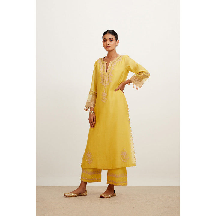 Devnaagri Mustard Dori Embroidered Kurta & Palazzo (Set of 3)