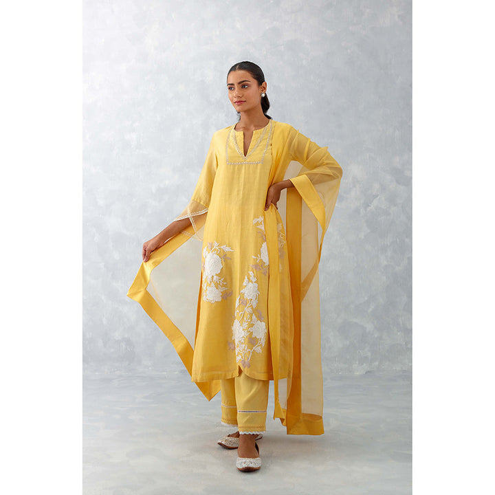 Devnaagri Mango Yellow Embroidered Chanderi Kurta (Set of 3)