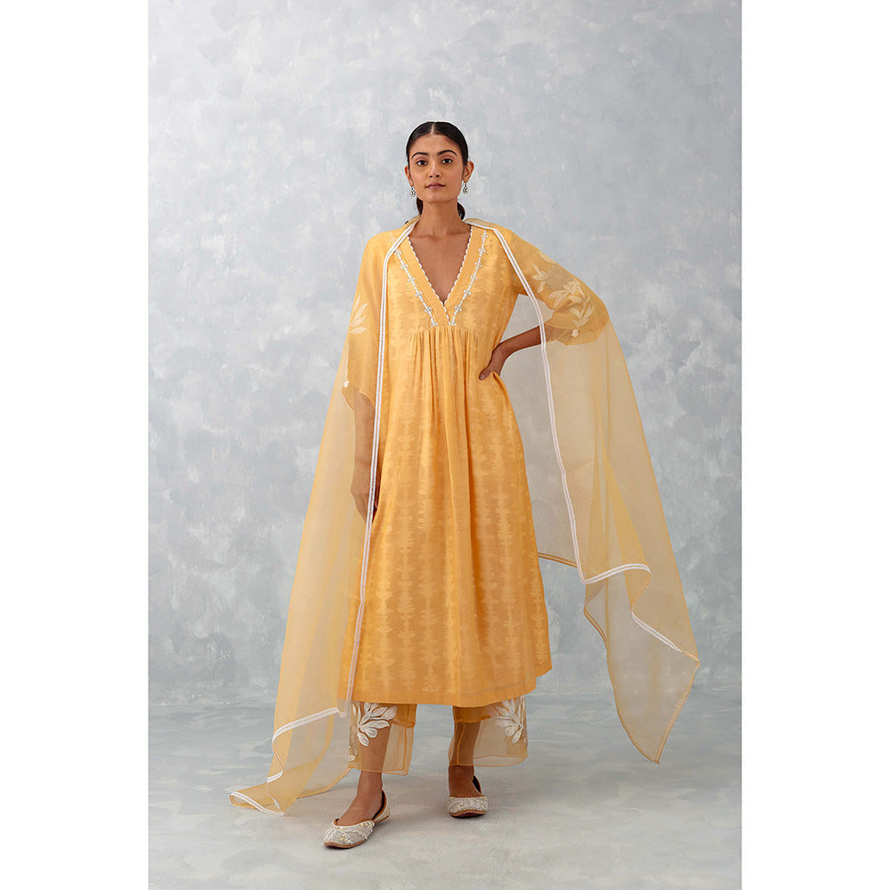 Devnaagri Peach Embroidered Chanderi Palazzo (Set of 3)