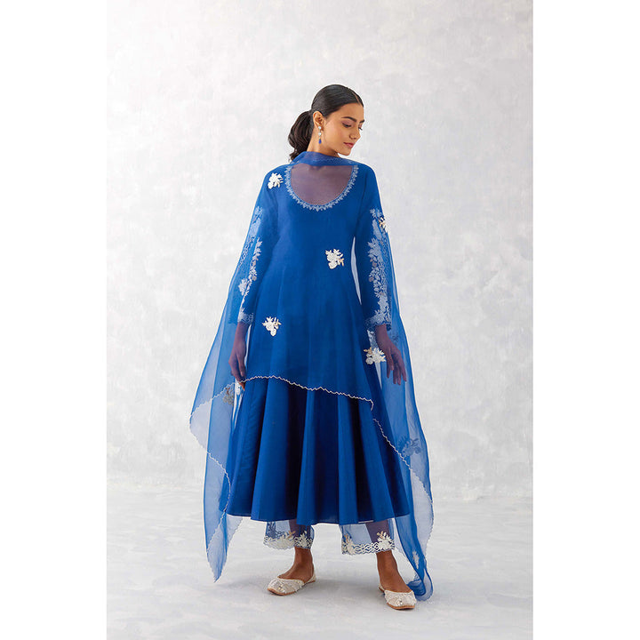 Devnaagri Blue Embroidered Anarkali (Set of 3)