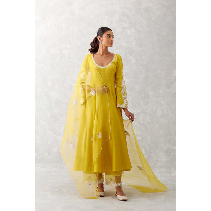 Devnaagri Mustard Yellow Embroidered Anarkali (Set of 3)