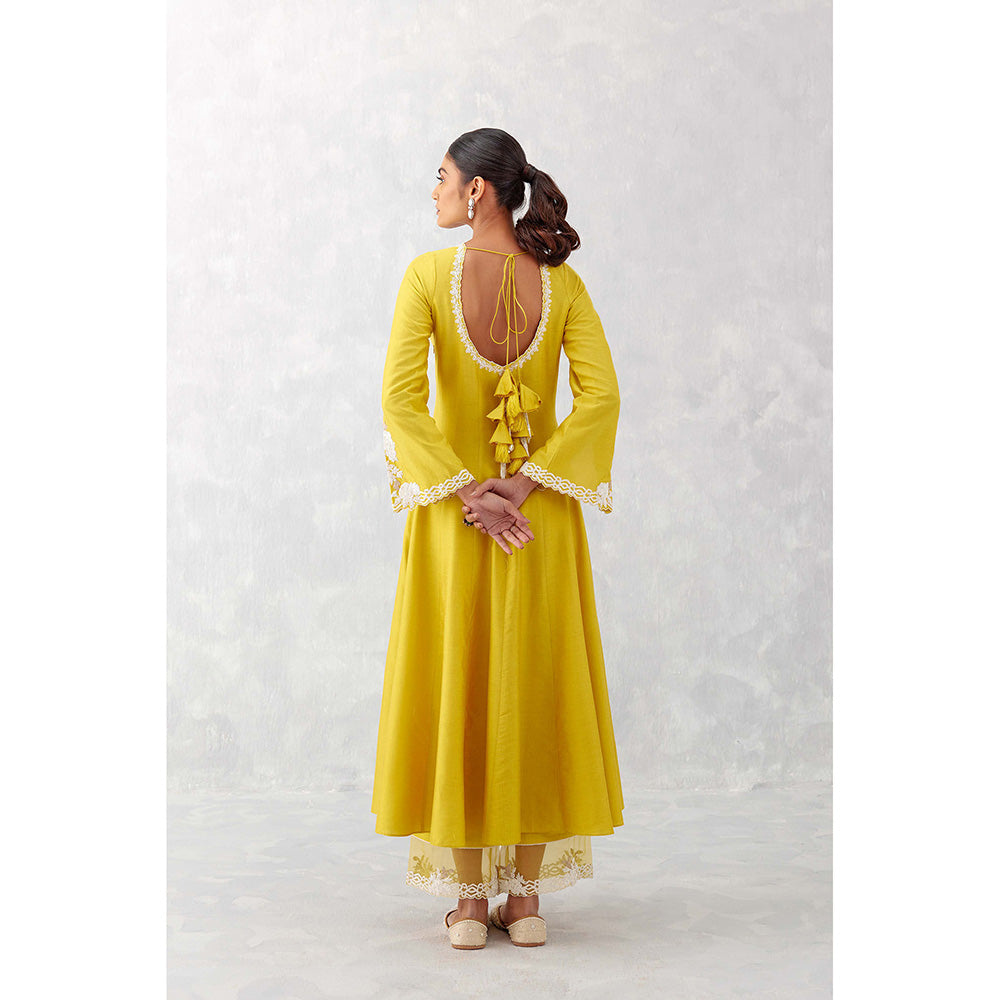 Devnaagri Mustard Yellow Embroidered Anarkali (Set of 3)