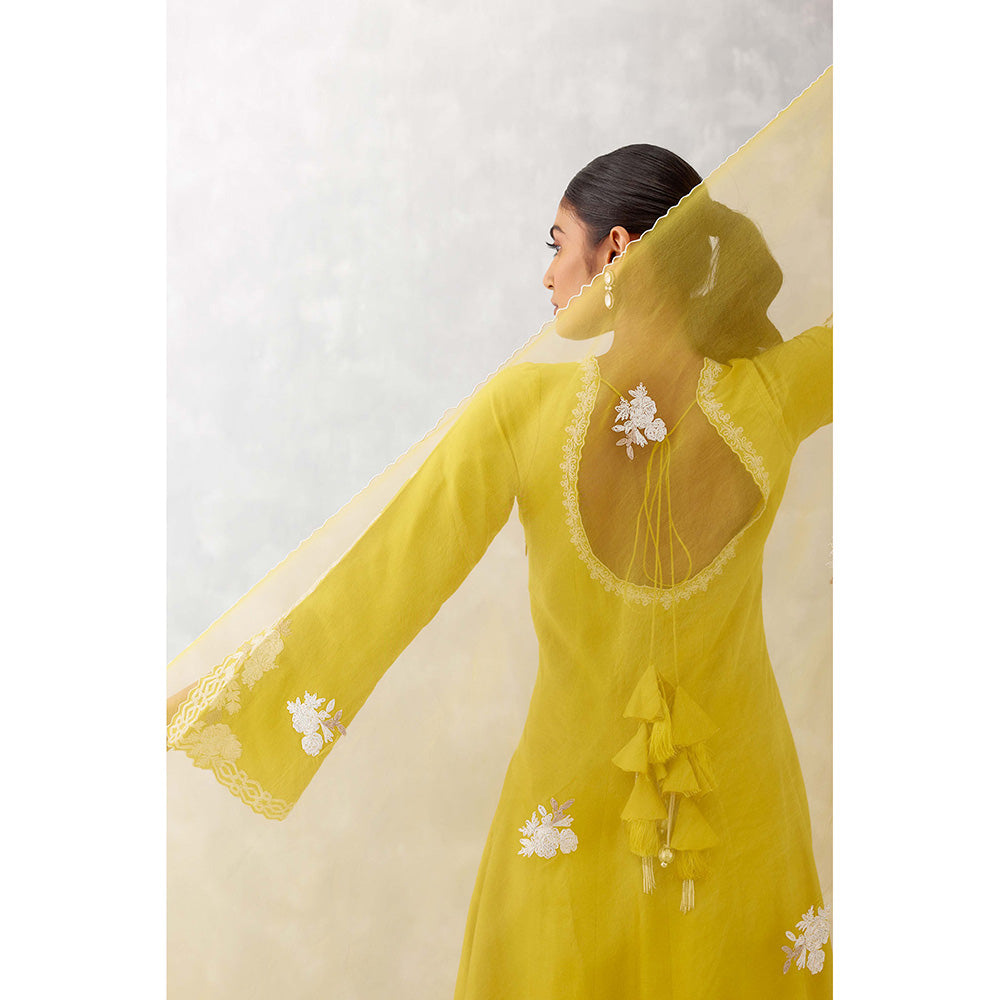 Devnaagri Mustard Yellow Embroidered Anarkali (Set of 3)