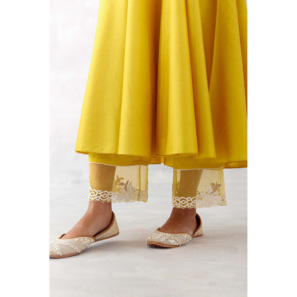 Devnaagri Mustard Yellow Embroidered Anarkali (Set of 3)