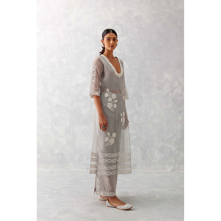 Devnaagri Grey Slit Silk Organza Palazzo (Set of 2)