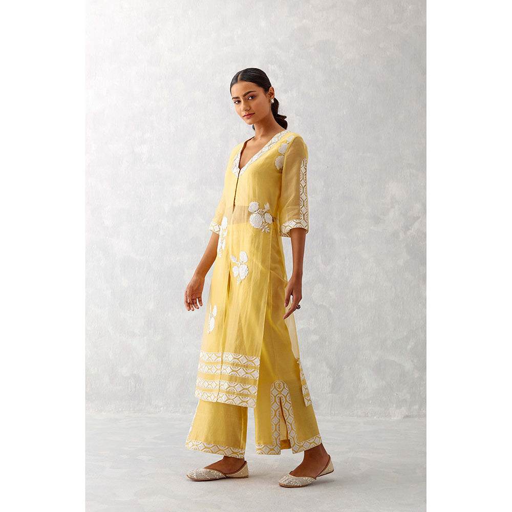 Devnaagri Mango Yellow Slit Silk Organza Palazzo (Set of 2)