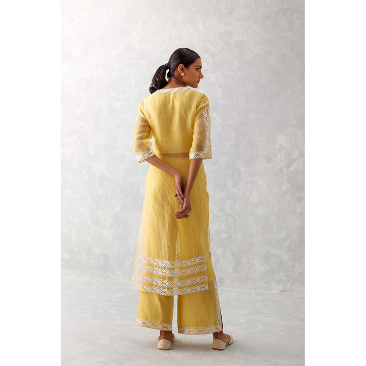 Devnaagri Mango Yellow Slit Silk Organza Palazzo (Set of 2)