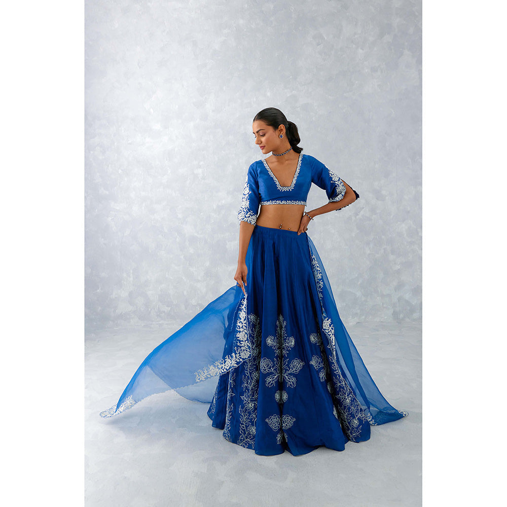 Devnaagri Blue Floral Embroidered Silk Lehenga (Set of 3)