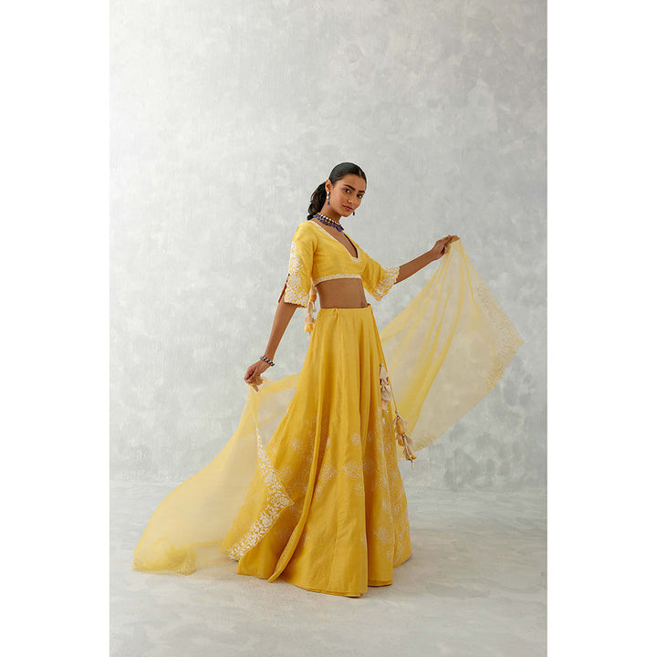 Devnaagri Mango Yellow Floral Embroidered Silk Lehenga (Set of 3)