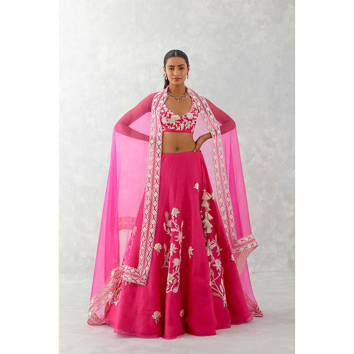 Devnaagri Fuchsia Pink Embroidered Silk Organza Lehenga (Set of 3)