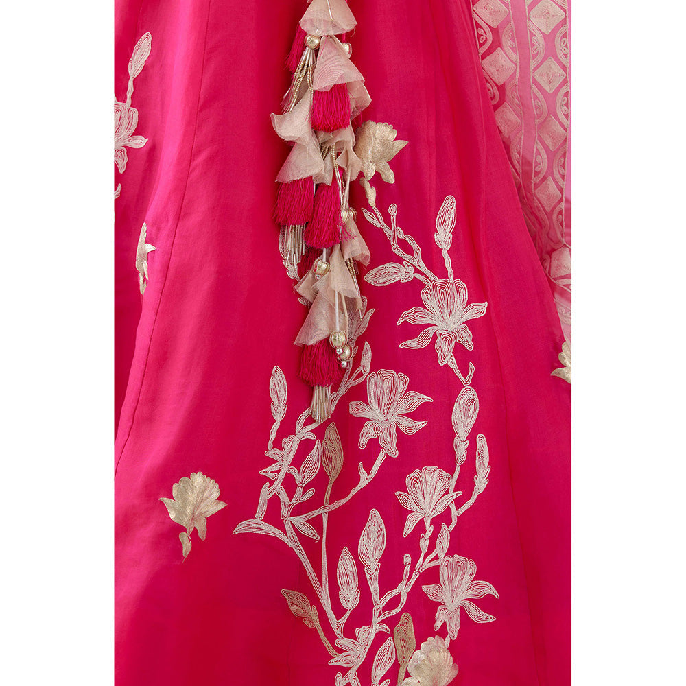 Devnaagri Fuchsia Pink Embroidered Silk Organza Lehenga (Set of 3)