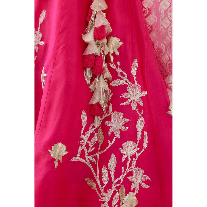 Devnaagri Fuchsia Pink Embroidered Silk Organza Lehenga (Set of 3)