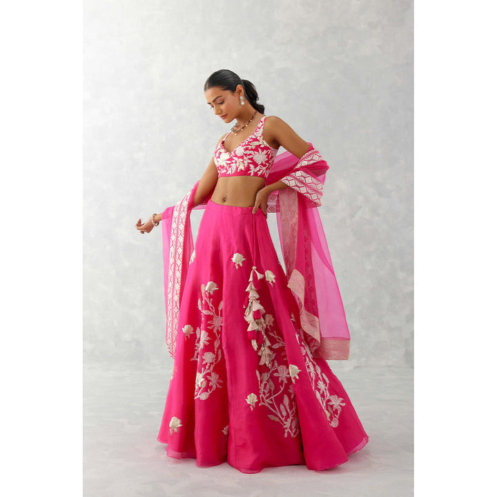 Devnaagri Fuchsia Pink Embroidered Silk Organza Lehenga (Set of 3)