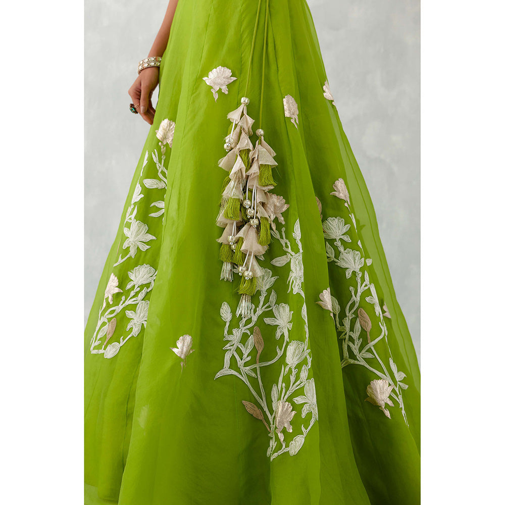 Devnaagri Green Embroidered Silk Organza Lehenga (Set of 3)