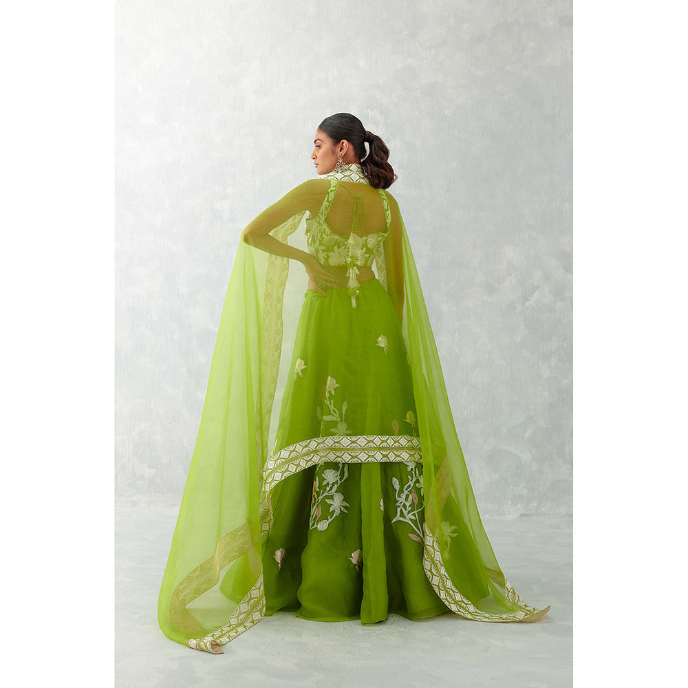 Devnaagri Green Embroidered Silk Organza Lehenga (Set of 3)