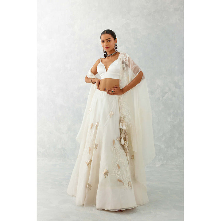 Devnaagri Ivory Silk Organza Cape Lehenga (Set of 3)